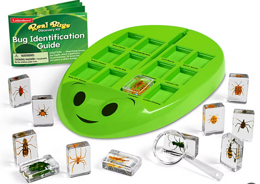 Insectos reales- kit para descubrir